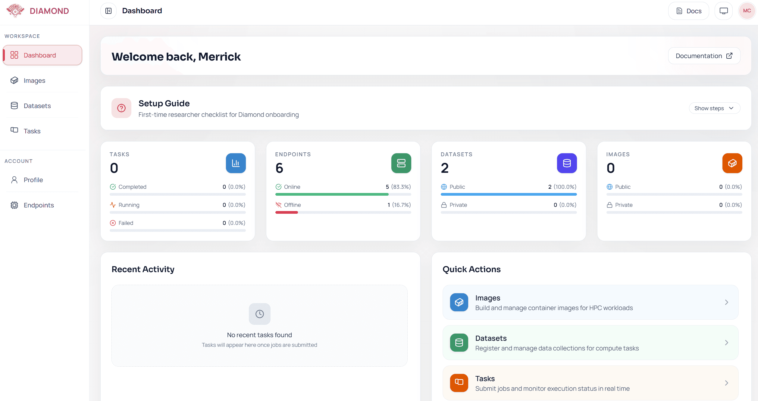 Diamond workspace dashboard showing endpoint and workload management views.